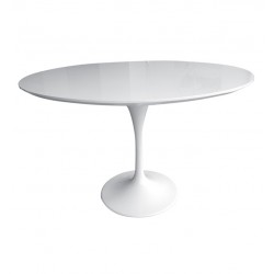 Mesa Iguu